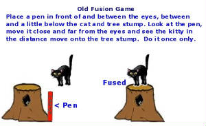 Artificial 3-D Fusion Fuse the kitty onto the tree stump. FOR EYE DOCTOR ONLY TO TEACH 