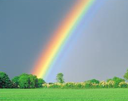 Rainbow, Green Trees, Grass Relaxing, Balancing to the Mind, Body, Visual System