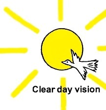Clear Day Vision