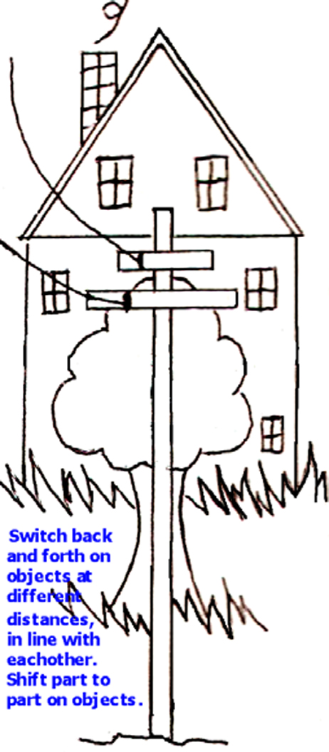 Switch, Shift on the Pole, Tree, House